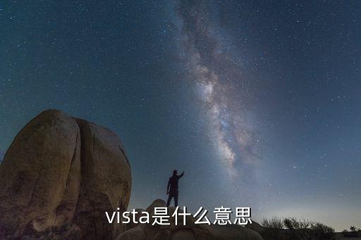 vista，什么是vista