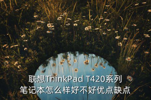聯(lián)想ThinkPad T420系列筆記本怎么樣好不好優(yōu)點(diǎn)缺點(diǎn)