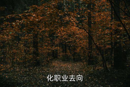 化職業(yè)去向