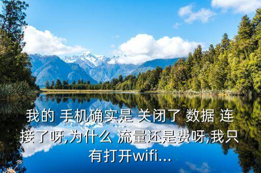 我的 手機(jī)確實(shí)是 關(guān)閉了 數(shù)據(jù) 連接了呀,為什么 流量還是費(fèi)呀,我只有打開(kāi)wifi...