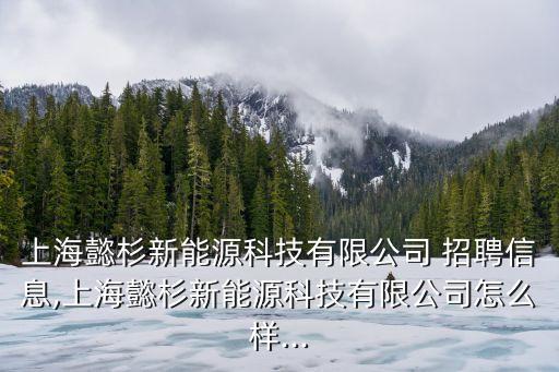 上海懿杉新能源科技有限公司 招聘信息,上海懿杉新能源科技有限公司怎么樣...