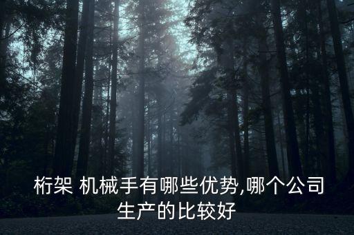  桁架 機械手有哪些優(yōu)勢,哪個公司生產(chǎn)的比較好