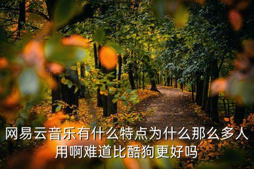 網(wǎng)易云音，手機網(wǎng)易云音樂音質(zhì)如何設(shè)置