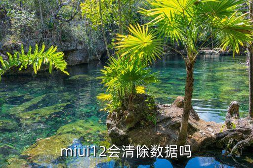 miui12會(huì)清除數(shù)據(jù)嗎