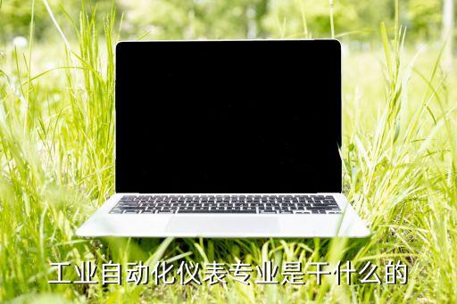 單片機(jī)  自動(dòng)化設(shè)備,電氣工程及其自動(dòng)化專(zhuān)業(yè):單片機(jī)原理
