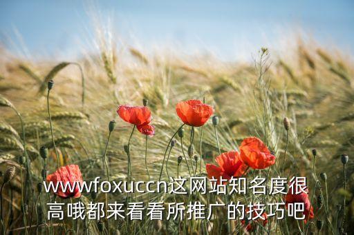 wwwfoxuccn這網(wǎng)站知名度很高哦都來看看所推廣的技巧吧