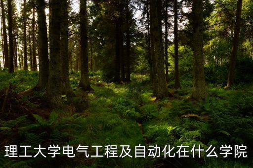 理工大學(xué)電氣工程及自動(dòng)化在什么學(xué)院