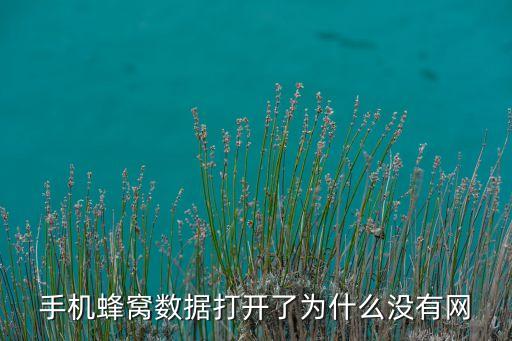 5s打開(kāi)了蜂窩數(shù)據(jù)沒(méi)網(wǎng),手機(jī)蜂窩數(shù)據(jù)開(kāi)啟,無(wú)法上網(wǎng)