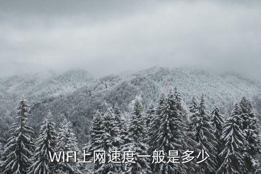 WIFI上網(wǎng)速度一般是多少