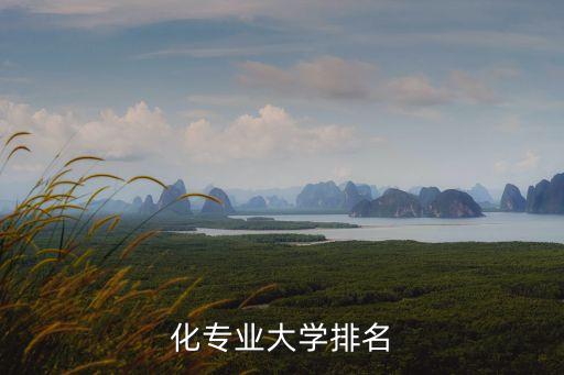 自動化專業(yè)學(xué)科排行榜,全國自動化高校排名