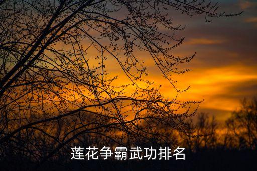 蓮花爭(zhēng)霸武功排名
