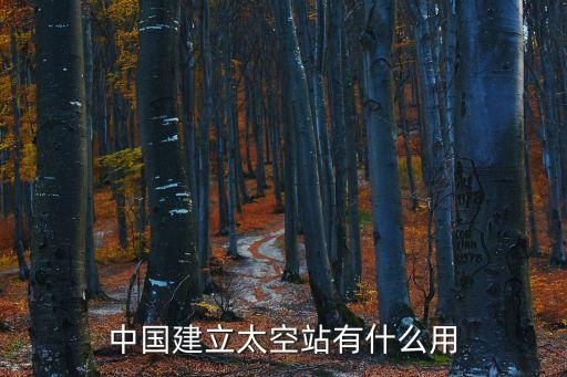 中國(guó)建立太空站有什么用