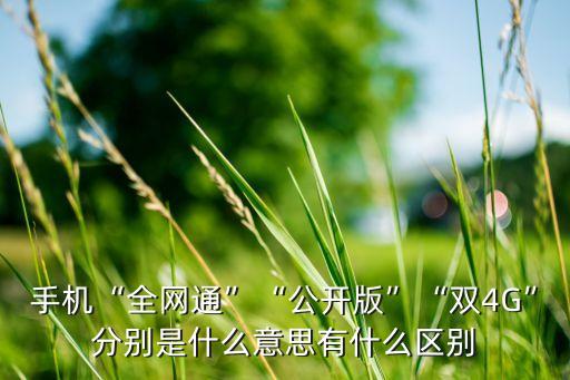 手機(jī)“全網(wǎng)通”“公開(kāi)版”“雙4G”分別是什么意思有什么區(qū)別