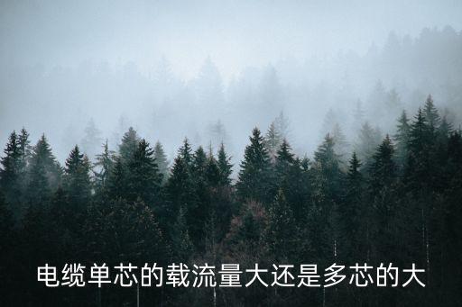 電纜單芯的載流量大還是多芯的大