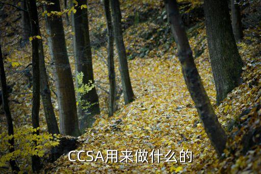 CCSA用來做什么的