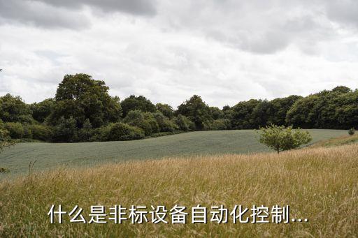 什么是非標(biāo)設(shè)備自動(dòng)化控制...