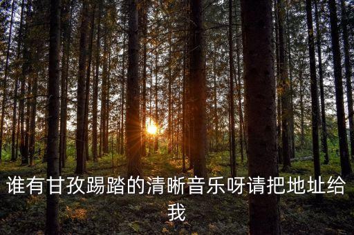 誰有甘孜踢踏的清晰音樂呀請把地址給我