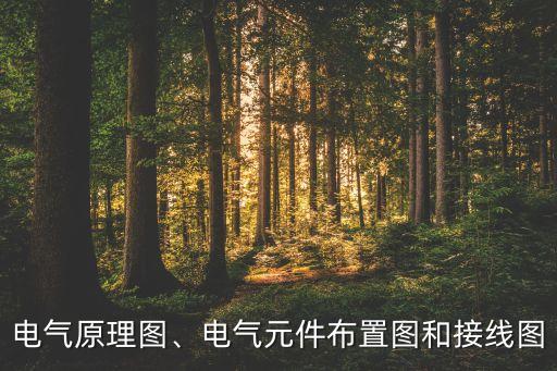 電氣原理圖、電氣元件布置圖和接線圖