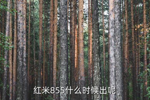 紅米855什么時(shí)候出呢