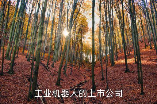 工業(yè)機(jī)器人的上市公司