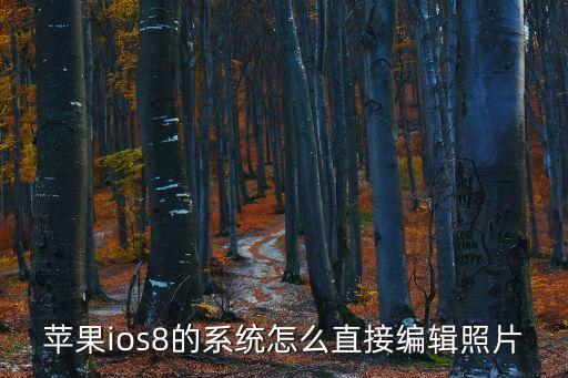 蘋果ios8的系統(tǒng)怎么直接編輯照片