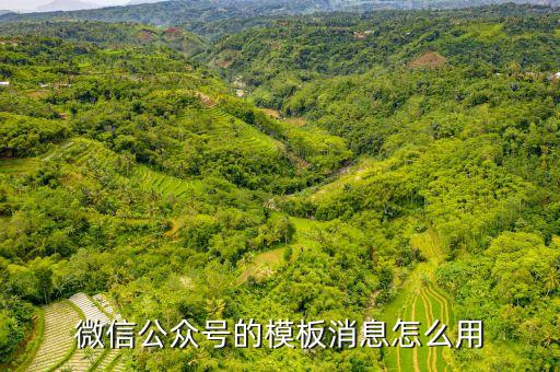 微信模板消息，微信模板消息有時(shí)收不到什么原因