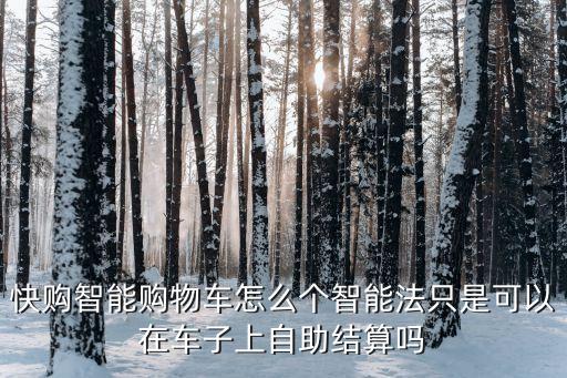 智能購物車，快購智能購物車怎么個智能法只是可以在車子上自助結(jié)算嗎