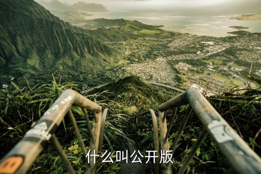 公開版是什么意思,手機公開版是什么意思?