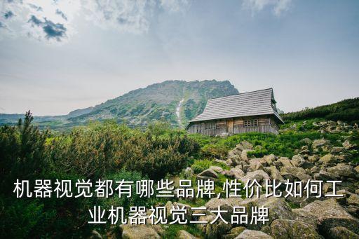 機(jī)器視覺都有哪些品牌,性價(jià)比如何工業(yè)機(jī)器視覺三大品牌