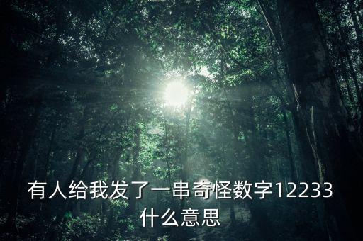有人給我發(fā)了一串奇怪?jǐn)?shù)字12233什么意思