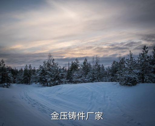 金壓鑄件廠家