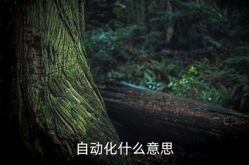 非標(biāo)自動(dòng)化設(shè)備怎么付款,什么是自動(dòng)非標(biāo)設(shè)備?