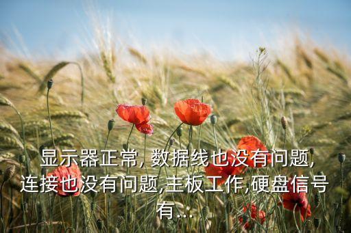  顯示器正常, 數(shù)據(jù)線也沒有問題,連接也沒有問題,主板工作,硬盤信號有...