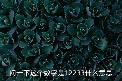 12233，問一下這個(gè)數(shù)字是12233什么意思