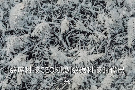 數(shù)庫(kù)科技CEO劉彥|數(shù)據(jù)科技時(shí)代已來(lái)