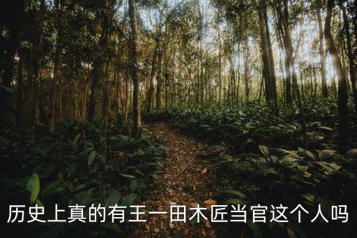 歷史上真的有王一田木匠當(dāng)官這個人嗎