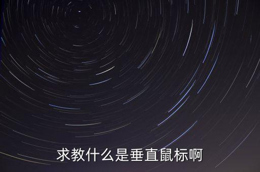 求教什么是垂直鼠標(biāo)啊