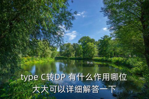 type C轉(zhuǎn)DP 有什么作用哪位大大可以詳細解答一下