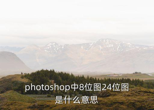 位圖是什么，什么是位圖貼圖腳本