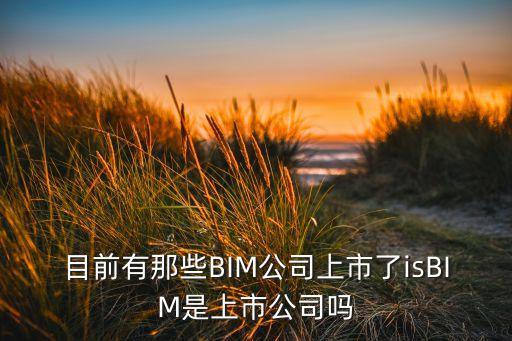 微醫(yī)上市，目前有那些BIM公司上市了isBIM是上市公司嗎
