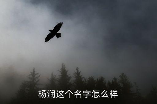 楊潤，楊潤這名字有什么含義