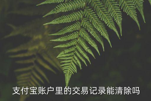  支付寶賬戶里的交易記錄能清除嗎