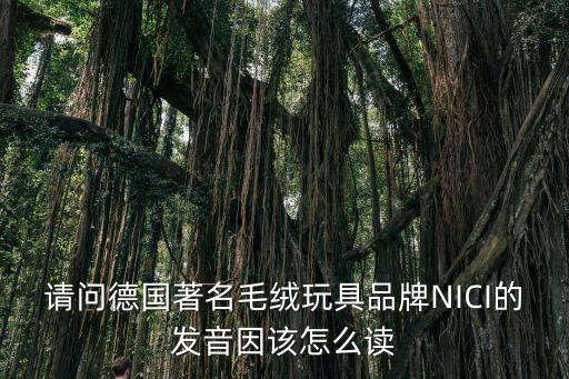 因該，請問德國著名毛絨玩具品牌NICI的發(fā)音因該怎么讀