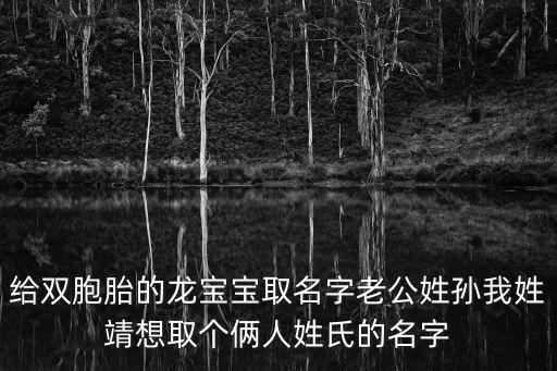 給雙胞胎的龍寶寶取名字老公姓孫我姓靖想取個(gè)倆人姓氏的名字