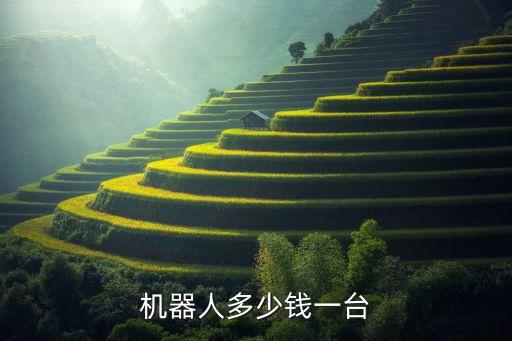 機器人多少錢一臺