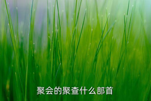 聚查，聚查字典應(yīng)該查什么偏旁
