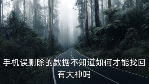 手機(jī)誤刪除的數(shù)據(jù)不知道如何才能找回有大神嗎