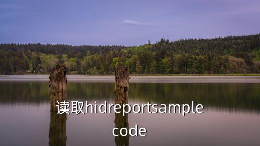 讀取hidreportsamplecode