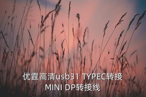 優(yōu)霆高清usb31 TYPEC轉(zhuǎn)接MINI DP轉(zhuǎn)接線