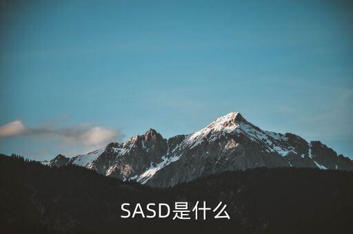 SASD是什么